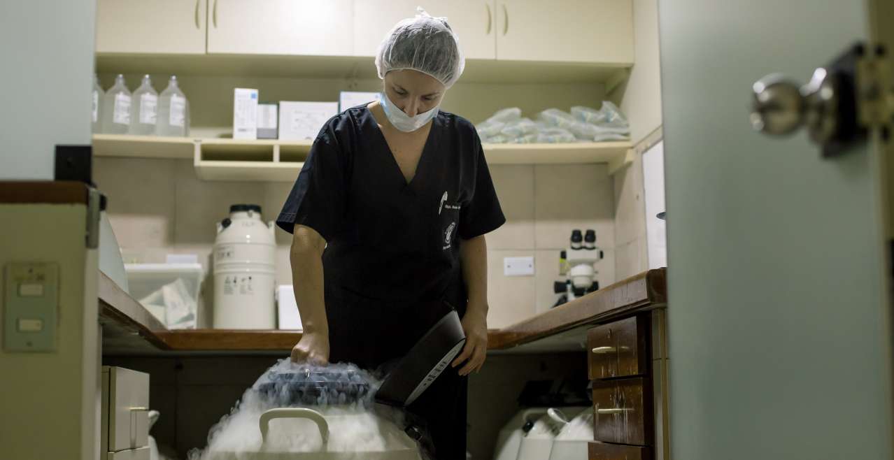 Congelación de Óvulos